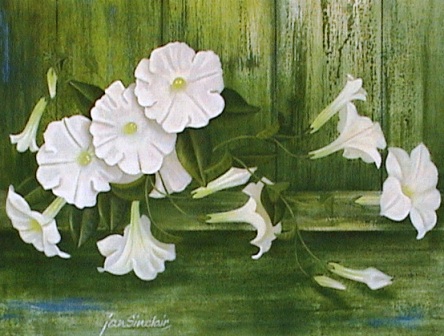 White Petunias - Oil - 300mm x 400mm - For Sale - R1640